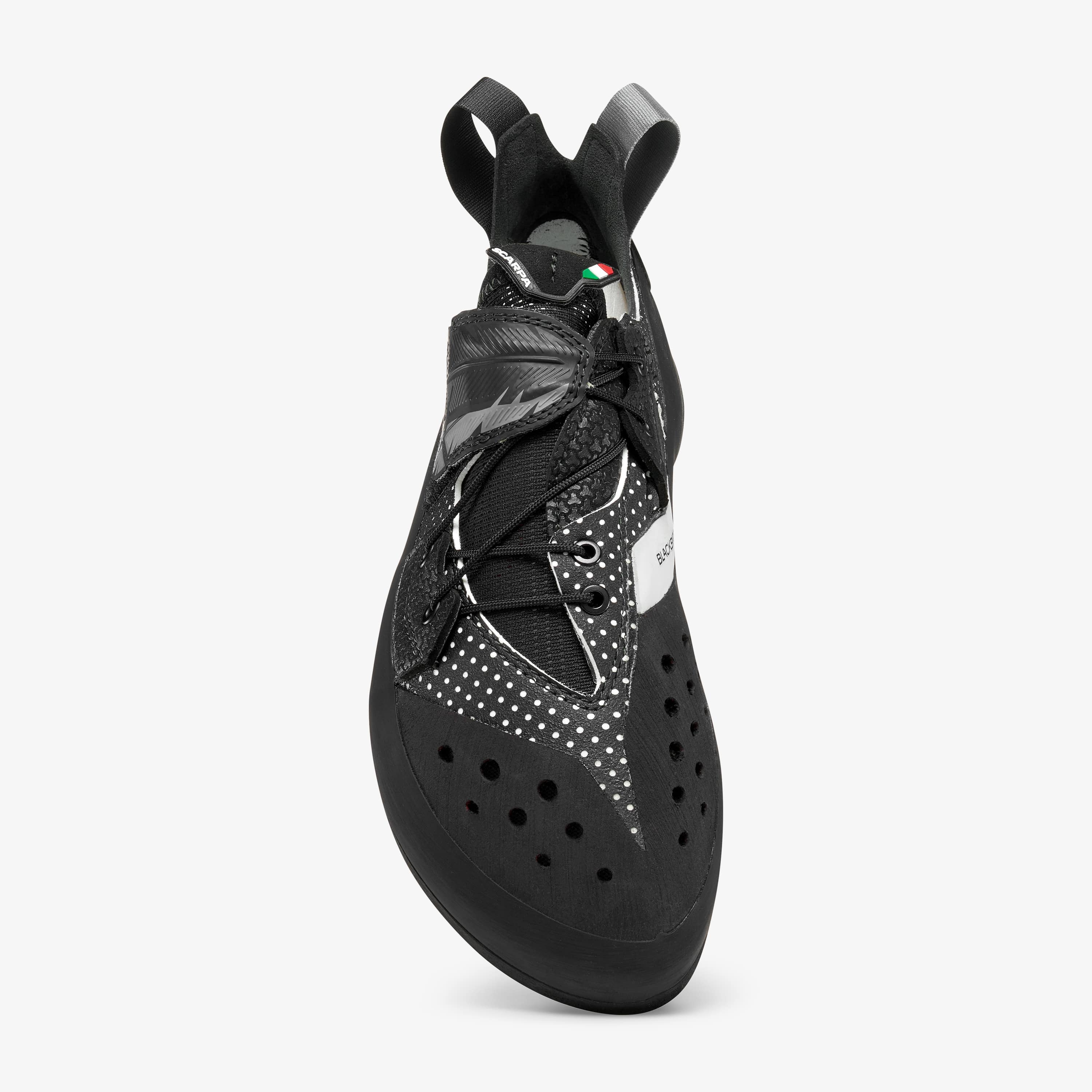 Blackbird - Image 3