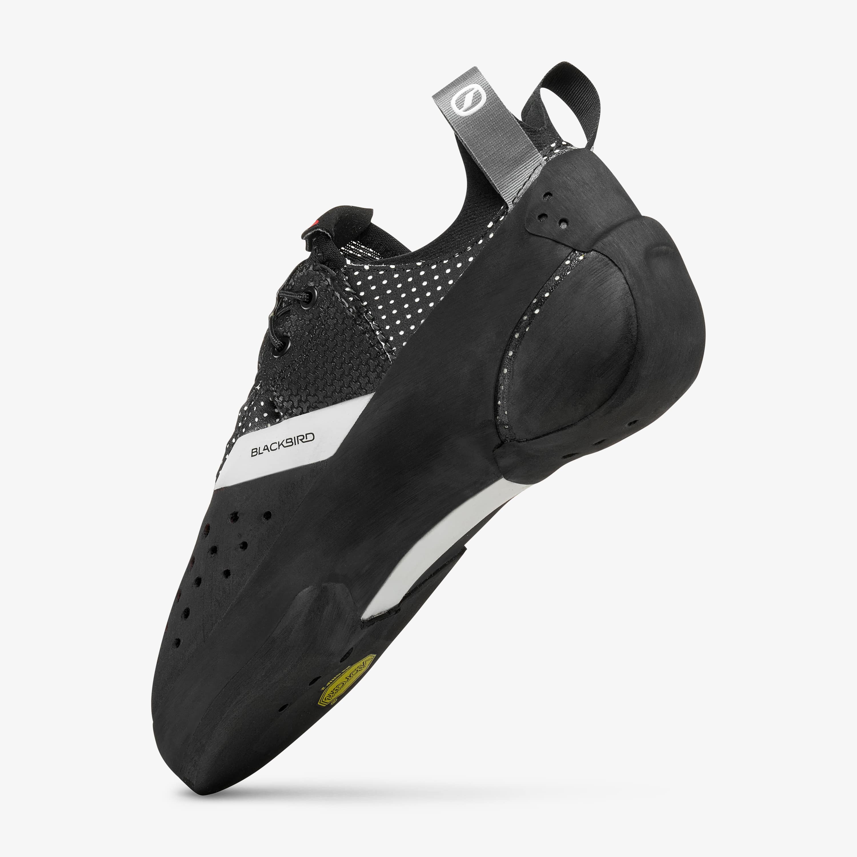 Blackbird - Image 5