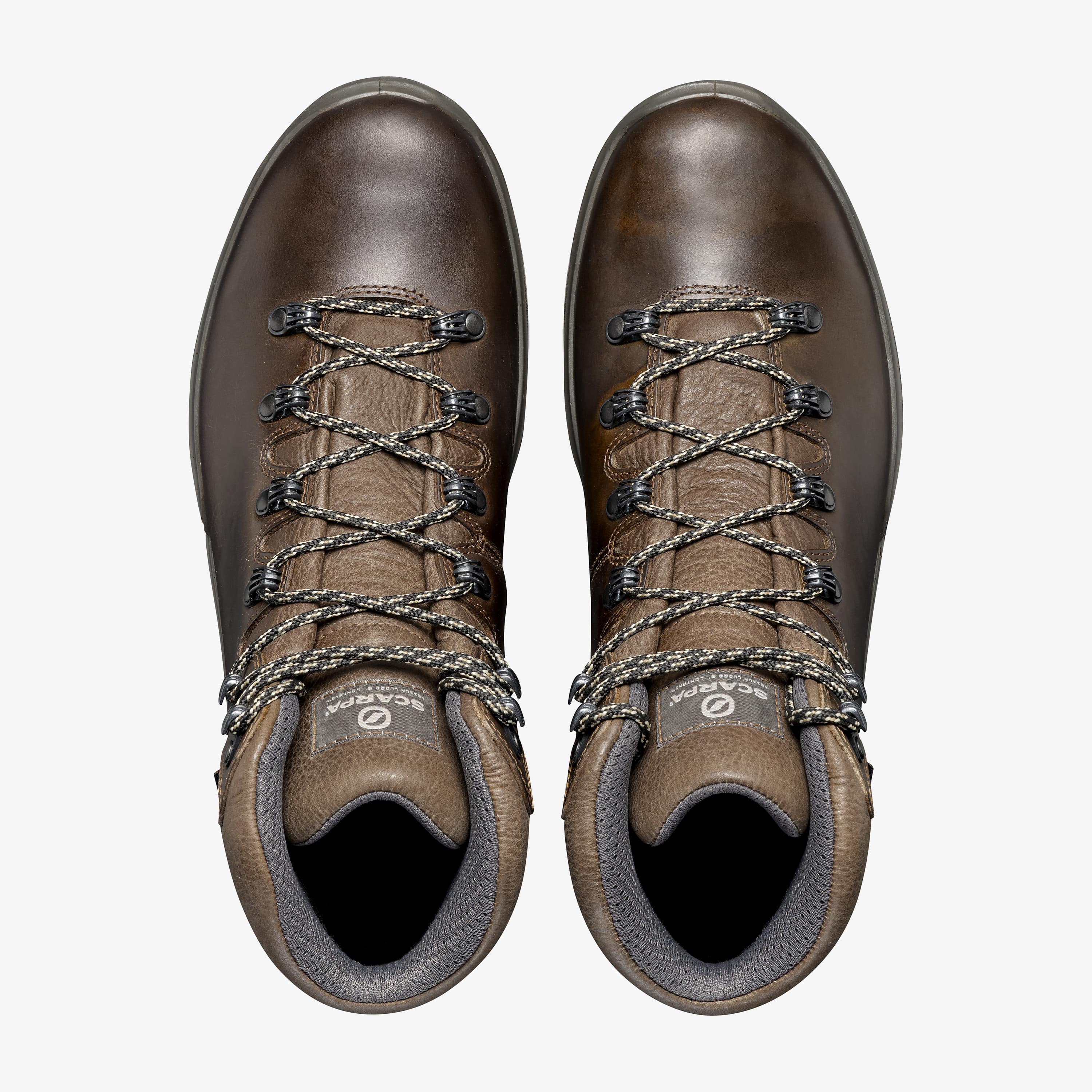 Terra GTX - Image 6